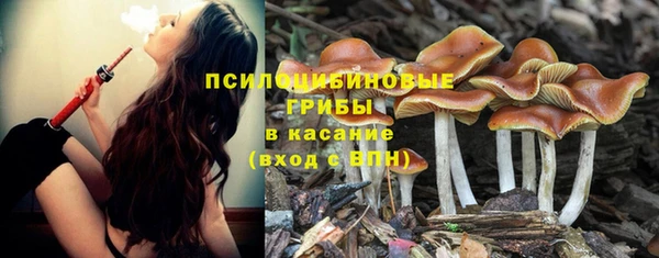 трава Зеленокумск