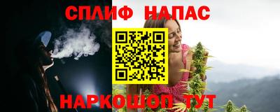 мдпв Можга
