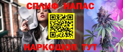мдпв Можга
