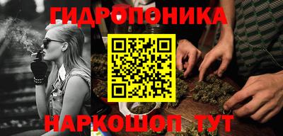 мдпв Можга