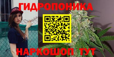 мдпв Можга