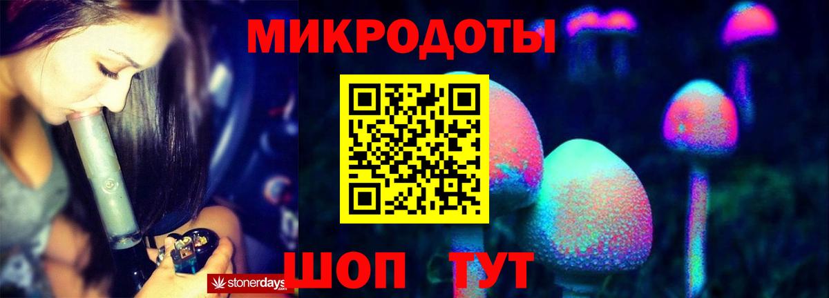 Галлюциногенные грибы Cubensis Гусев
