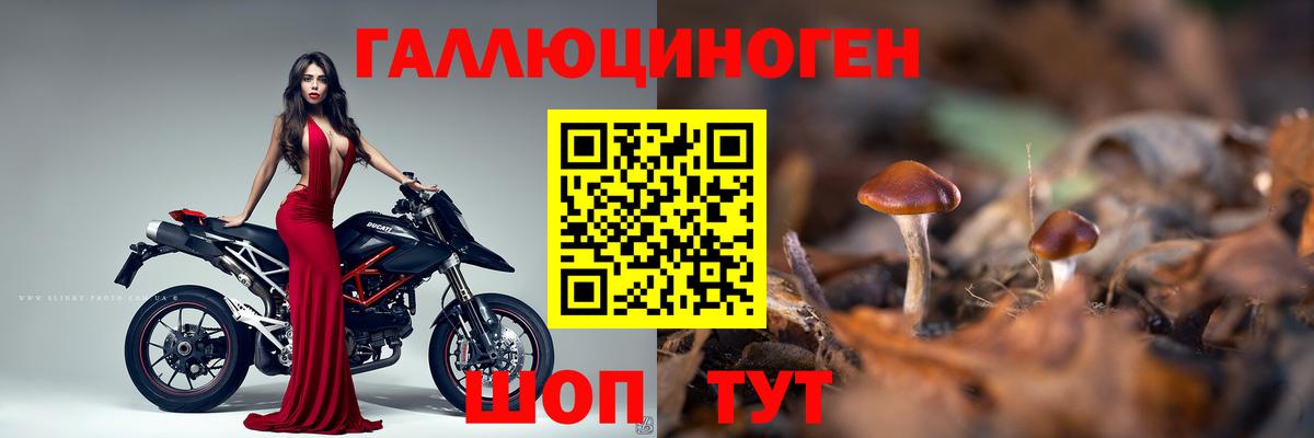 Гусев  Галлюциногенные грибы мухоморы  где найти наркотики  Вход с VPN 
